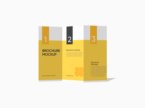 Z-Fold Brochure